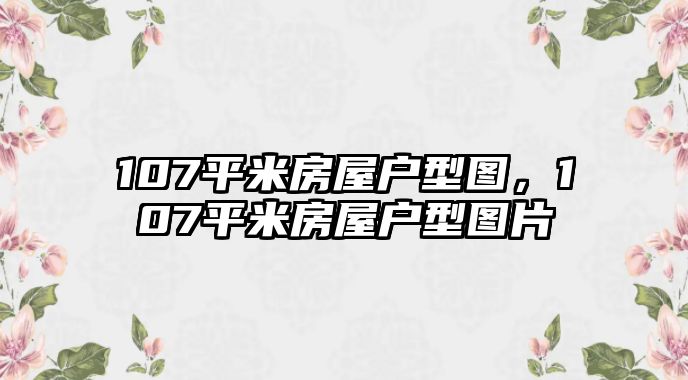 107平米房屋戶型圖，107平米房屋戶型圖片